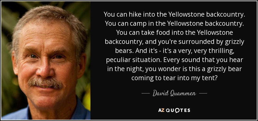You can hike into the Yellowstone backcountry. You can camp in the Yellowstone backcountry. You can take food into the Yellowstone backcountry, and you're surrounded by grizzly bears. And it's - it's a very, very thrilling, peculiar situation. Every sound that you hear in the night, you wonder is this a grizzly bear coming to tear into my tent? - David Quammen