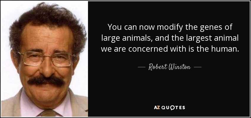 You can now modify the genes of large animals, and the largest animal we are concerned with is the human. - Robert Winston