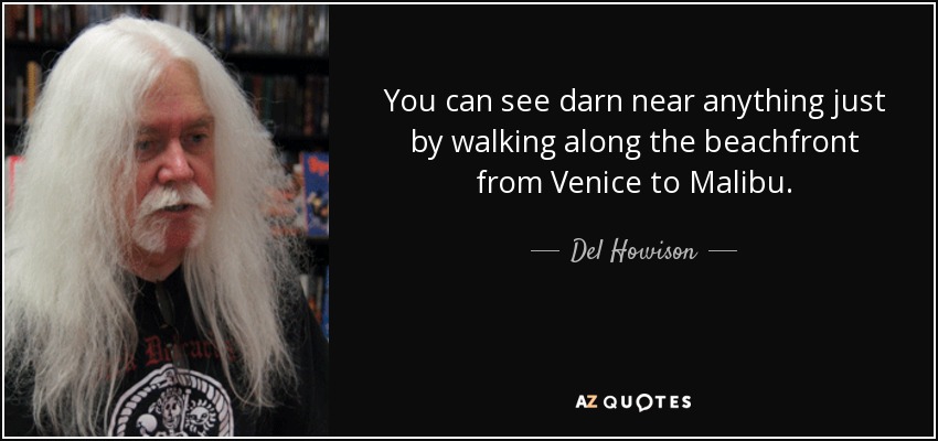 You can see darn near anything just by walking along the beachfront from Venice to Malibu. - Del Howison