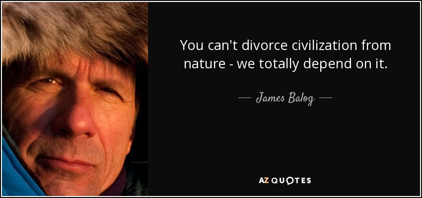 You can't divorce civilization from nature - we totally depend on it. - James Balog