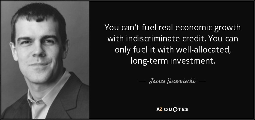 You can't fuel real economic growth with indiscriminate credit. You can only fuel it with well-allocated, long-term investment. - James Surowiecki