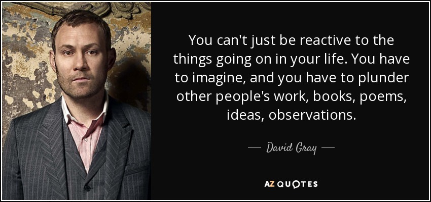You can't just be reactive to the things going on in your life. You have to imagine, and you have to plunder other people's work, books, poems, ideas, observations. - David Gray