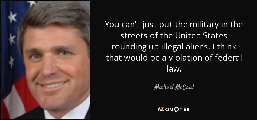 You can't just put the military in the streets of the United States rounding up illegal aliens. I think that would be a violation of federal law. - Michael McCaul