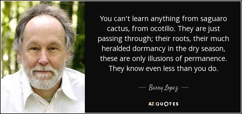 You can't learn anything from saguaro cactus, from ocotillo. They are just passing through; their roots, their much heralded dormancy in the dry season, these are only illusions of permanence. They know even less than you do. - Barry Lopez