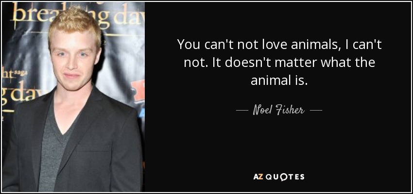 You can't not love animals, I can't not. It doesn't matter what the animal is. - Noel Fisher