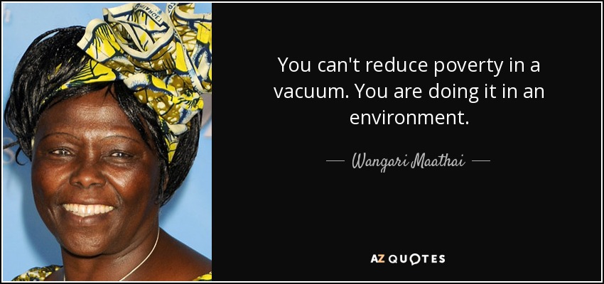 You can't reduce poverty in a vacuum. You are doing it in an environment. - Wangari Maathai
