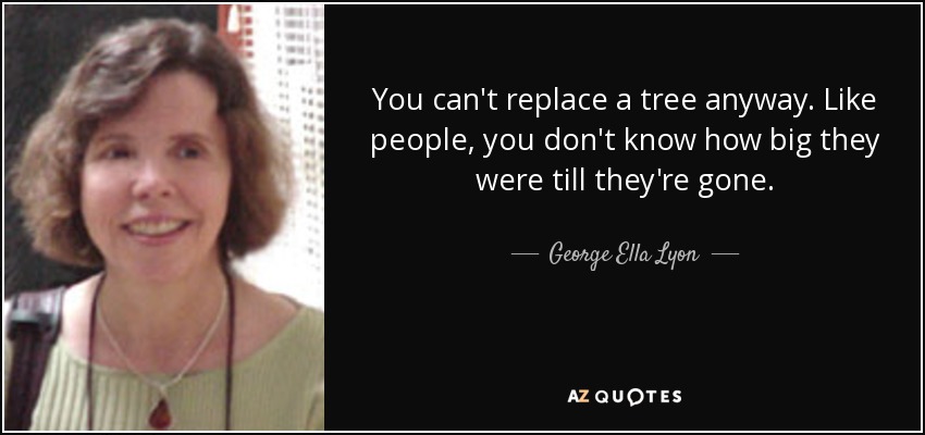 You can't replace a tree anyway. Like people, you don't know how big they were till they're gone. - George Ella Lyon