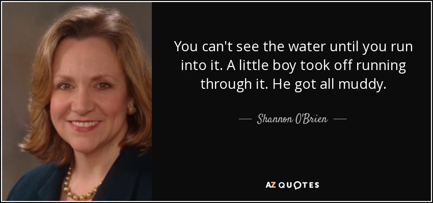 You can't see the water until you run into it. A little boy took off running through it. He got all muddy. - Shannon O'Brien