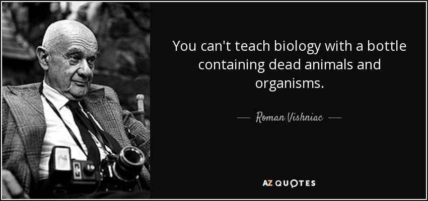 You can't teach biology with a bottle containing dead animals and organisms. - Roman Vishniac