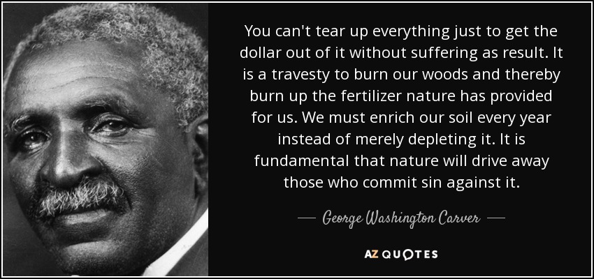 You can't tear up everything just to get the dollar out of it without suffering as result. It is a travesty to burn our woods and thereby burn up the fertilizer nature has provided for us. We must enrich our soil every year instead of merely depleting it. It is fundamental that nature will drive away those who commit sin against it. - George Washington Carver