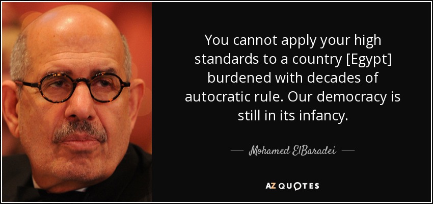 You cannot apply your high standards to a country [Egypt] burdened with decades of autocratic rule. Our democracy is still in its infancy. - Mohamed ElBaradei