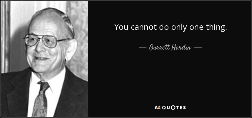 You cannot do only one thing. - Garrett Hardin