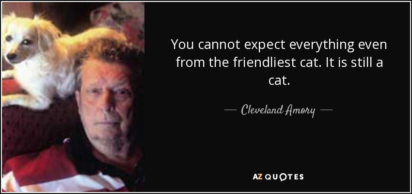 You cannot expect everything even from the friendliest cat. It is still a cat. - Cleveland Amory