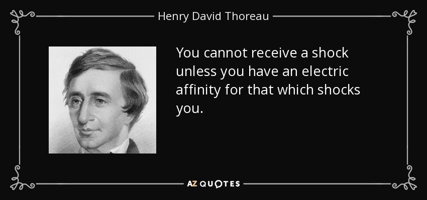 You cannot receive a shock unless you have an electric affinity for that which shocks you. - Henry David Thoreau