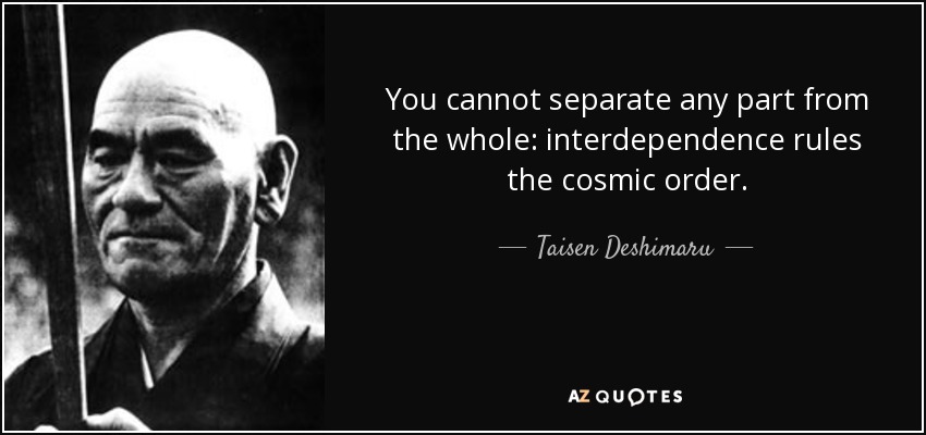 You cannot separate any part from the whole: interdependence rules the cosmic order. - Taisen Deshimaru