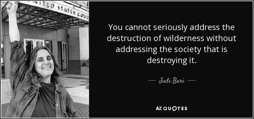 You cannot seriously address the destruction of wilderness without addressing the society that is destroying it. - Judi Bari