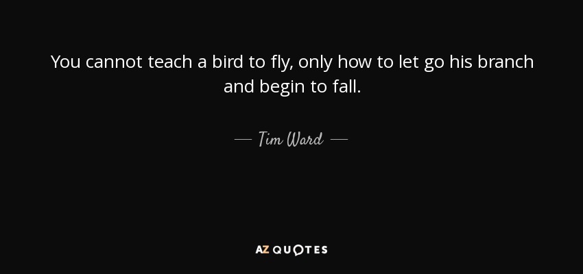 You cannot teach a bird to fly, only how to let go his branch and begin to fall. - Tim Ward