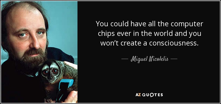 You could have all the computer chips ever in the world and you won’t create a consciousness. - Miguel Nicolelis