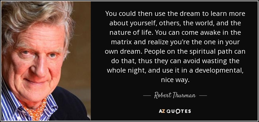 You could then use the dream to learn more about yourself, others, the world, and the nature of life. You can come awake in the matrix and realize you're the one in your own dream. People on the spiritual path can do that, thus they can avoid wasting the whole night, and use it in a developmental, nice way. - Robert Thurman