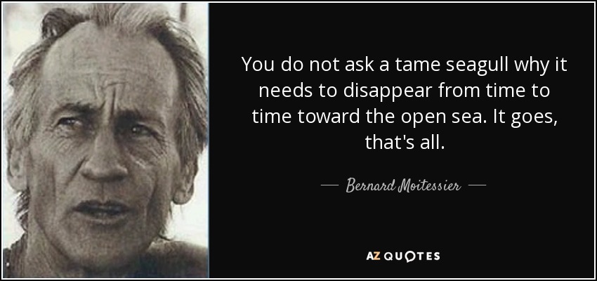 You do not ask a tame seagull why it needs to disappear from time to time toward the open sea. It goes, that's all. - Bernard Moitessier