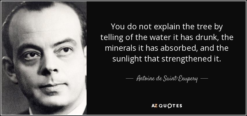 You do not explain the tree by telling of the water it has drunk, the minerals it has absorbed, and the sunlight that strengthened it. - Antoine de Saint-Exupery