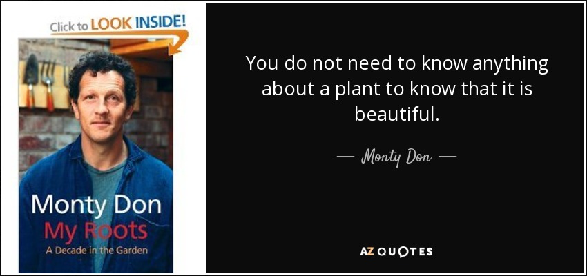 You do not need to know anything about a plant to know that it is beautiful. - Monty Don