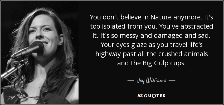 You don't believe in Nature anymore. It's too isolated from you. You've abstracted it. It's so messy and damaged and sad. Your eyes glaze as you travel life's highway past all the crushed animals and the Big Gulp cups. - Joy Williams