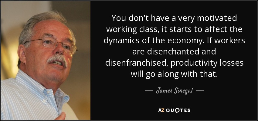 You don't have a very motivated working class, it starts to affect the dynamics of the economy. If workers are disenchanted and disenfranchised, productivity losses will go along with that. - James Sinegal