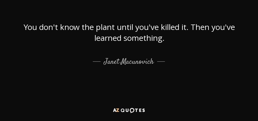You don't know the plant until you've killed it. Then you've learned something. - Janet Macunovich