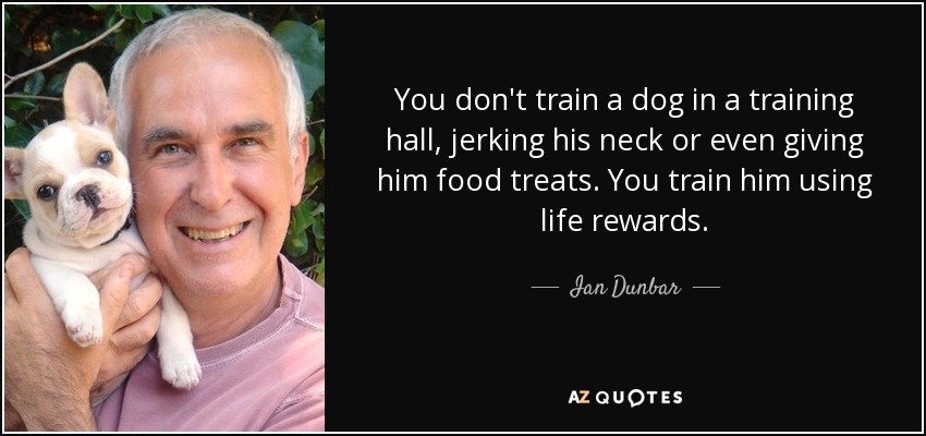 You don't train a dog in a training hall, jerking his neck or even giving him food treats. You train him using life rewards. - Ian Dunbar