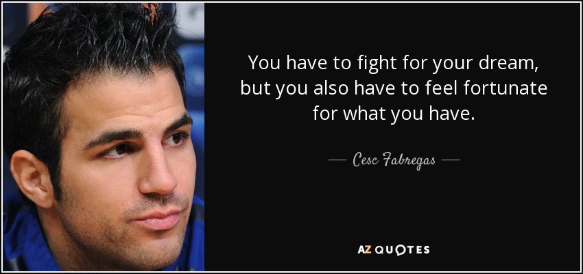 You have to fight for your dream, but you also have to feel fortunate for what you have. - Cesc Fabregas