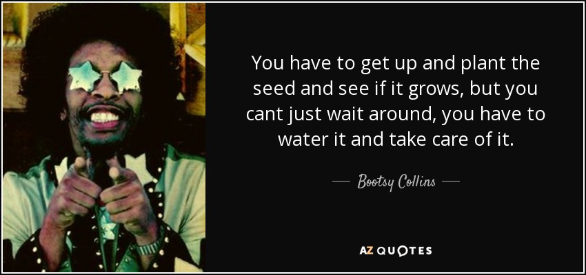 You have to get up and plant the seed and see if it grows, but you cant just wait around, you have to water it and take care of it. - Bootsy Collins