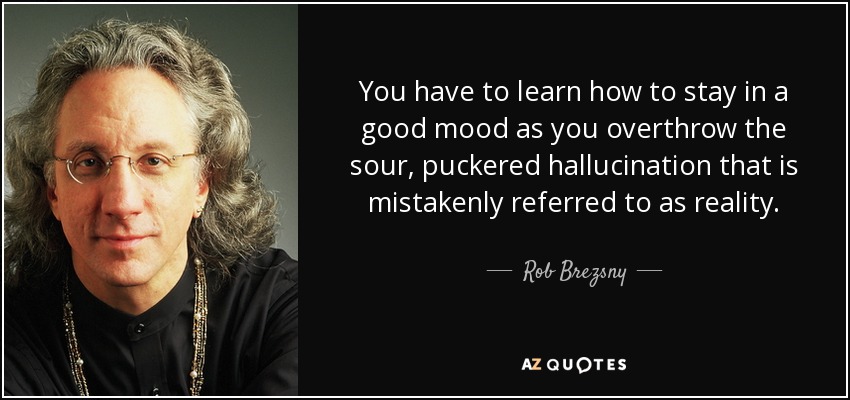 You have to learn how to stay in a good mood as you overthrow the sour, puckered hallucination that is mistakenly referred to as reality. - Rob Brezsny