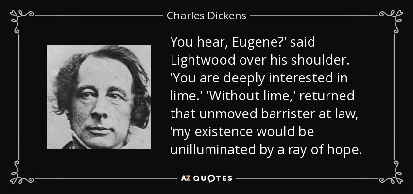 You hear, Eugene?' said Lightwood over his shoulder. 'You are deeply interested in lime.' 'Without lime,' returned that unmoved barrister at law, 'my existence would be unilluminated by a ray of hope. - Charles Dickens