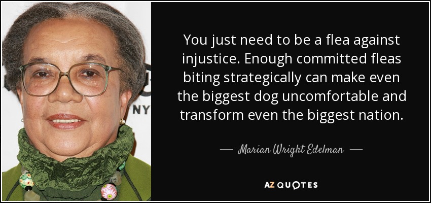 You just need to be a flea against injustice. Enough committed fleas biting strategically can make even the biggest dog uncomfortable and transform even the biggest nation. - Marian Wright Edelman