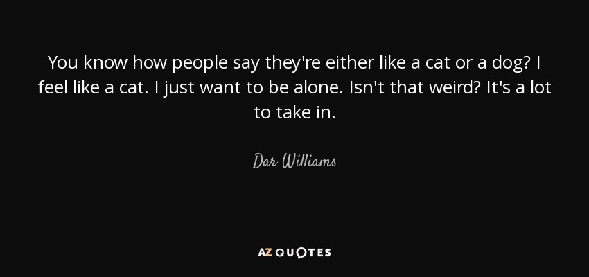 You know how people say they're either like a cat or a dog? I feel like a cat. I just want to be alone. Isn't that weird? It's a lot to take in. - Dar Williams