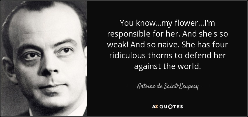 You know...my flower...I'm responsible for her. And she's so weak! And so naive. She has four ridiculous thorns to defend her against the world. - Antoine de Saint-Exupery