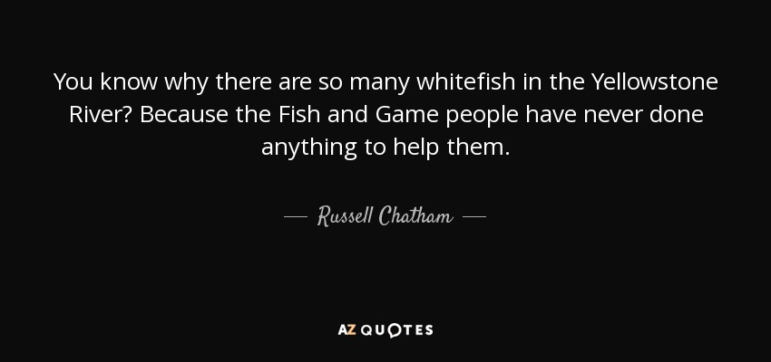 You know why there are so many whitefish in the Yellowstone River? Because the Fish and Game people have never done anything to help them. - Russell Chatham