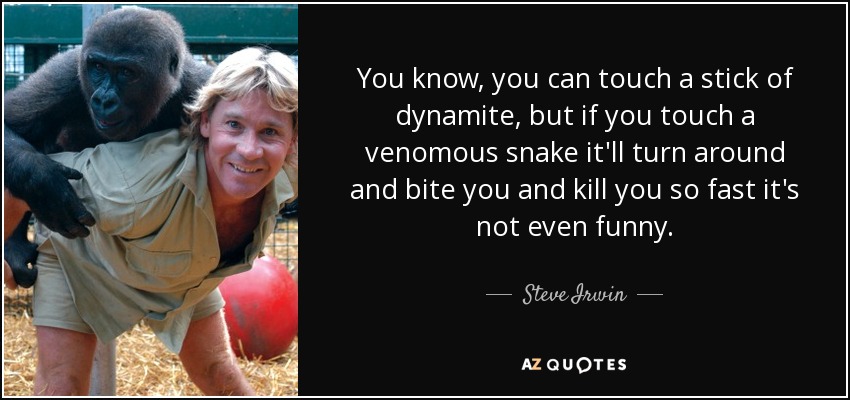 You know, you can touch a stick of dynamite, but if you touch a venomous snake it'll turn around and bite you and kill you so fast it's not even funny. - Steve Irwin