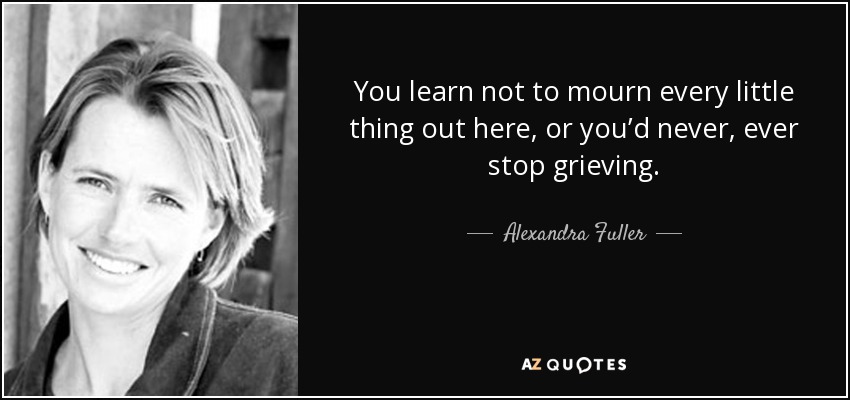 You learn not to mourn every little thing out here, or you’d never, ever stop grieving. - Alexandra Fuller
