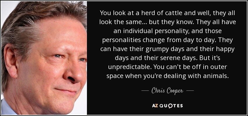 You look at a herd of cattle and well, they all look the same... but they know. They all have an individual personality, and those personalities change from day to day. They can have their grumpy days and their happy days and their serene days. But it's unpredictable. You can't be off in outer space when you're dealing with animals. - Chris Cooper