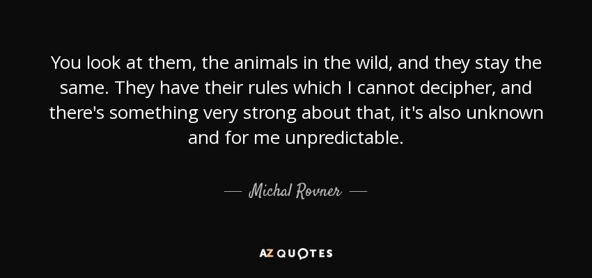 You look at them, the animals in the wild, and they stay the same. They have their rules which I cannot decipher, and there's something very strong about that, it's also unknown and for me unpredictable. - Michal Rovner