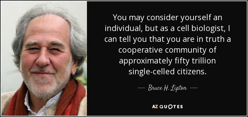 You may consider yourself an individual, but as a cell biologist, I can tell you that you are in truth a cooperative community of approximately fifty trillion single-celled citizens. - Bruce H. Lipton