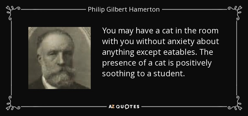 You may have a cat in the room with you without anxiety about anything except eatables. The presence of a cat is positively soothing to a student. - Philip Gilbert Hamerton