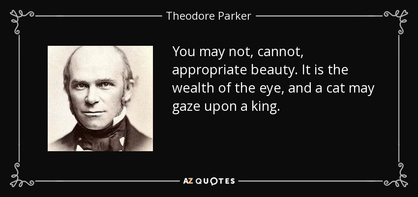 You may not, cannot, appropriate beauty. It is the wealth of the eye, and a cat may gaze upon a king. - Theodore Parker