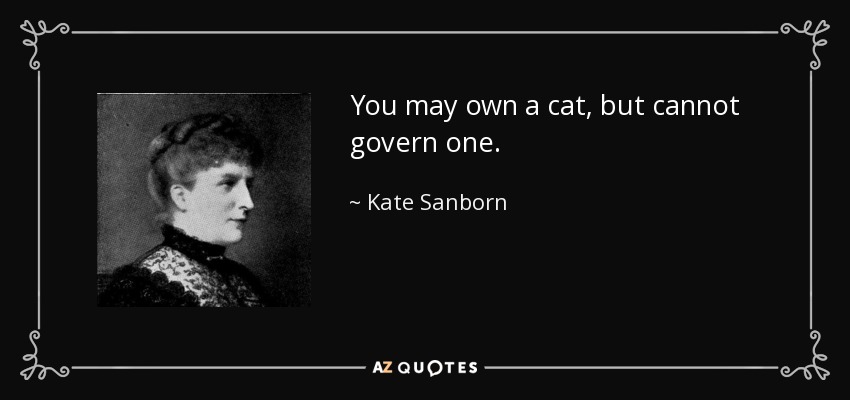 You may own a cat, but cannot govern one. - Kate Sanborn