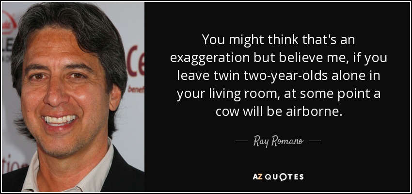 You might think that's an exaggeration but believe me, if you leave twin two-year-olds alone in your living room, at some point a cow will be airborne. - Ray Romano
