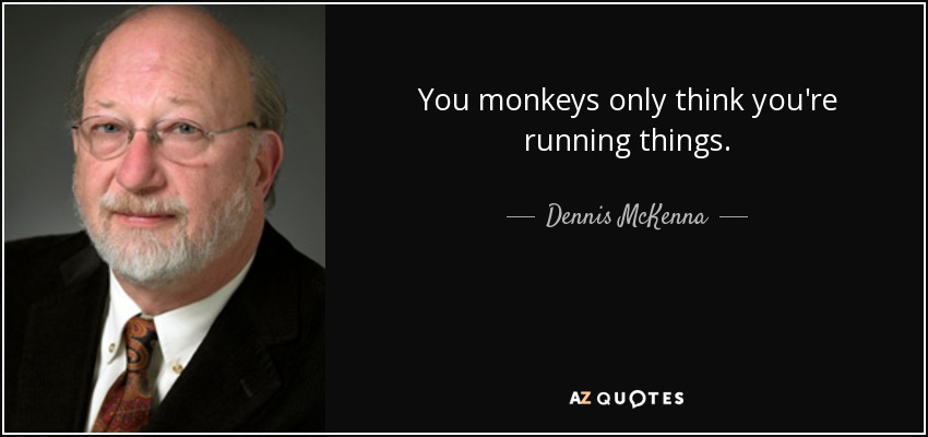 You monkeys only think you're running things. - Dennis McKenna