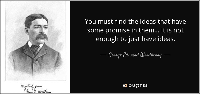 You must find the ideas that have some promise in them... It is not enough to just have ideas. - George Edward Woodberry