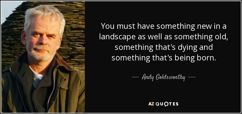 You must have something new in a landscape as well as something old, something that's dying and something that's being born. - Andy Goldsworthy